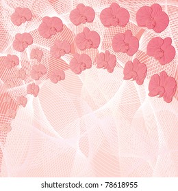 vector background with flowers of orchid in pink colors