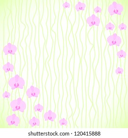 Vector background with flowers of orchids and stripes. Delicate pink and green colors