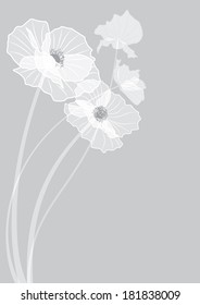 vector background with flowers of poppies in grey colors (EPS 10)