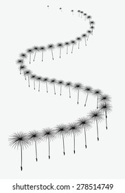 vector background fluffy dandelion flies.