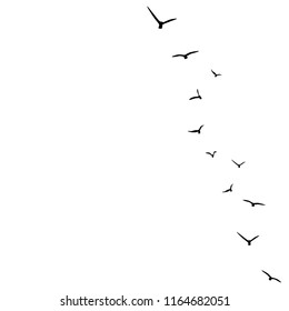 vector background with flying birds on the right side. Black swallows in the sky on white background. Bird trace. Freedom, romantic, dreams, lyric
