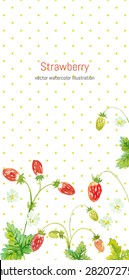 vector background with forest strawberries