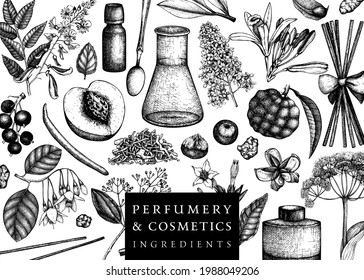 Vector background with fragrant fruits and flowers. Perfumery and cosmetics ingredients banner. Aromatic and medicinal plants design. Botanical template for invitation or card. 