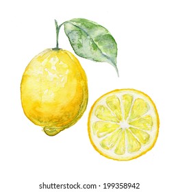 Vector background fresh limon with green leaves. Food element for your design. 