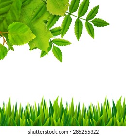 Vector background with fresh summer green leaves and grass 