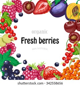 Vector background with garden berries. Vector  illustration for your design