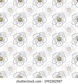 Vector background garden strawberries, berry flowers, berries fruits. Seamless pattern background