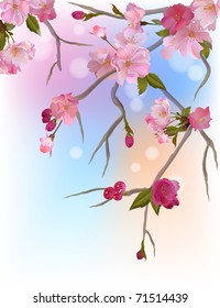 Vector background with gentle sakura branches of  flowers (see jpg version in my portfolio)