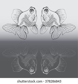 Vector background - goldfish.