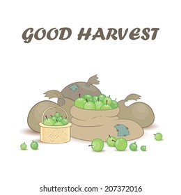 Vector background with good apple harvest. Illustration for use in design