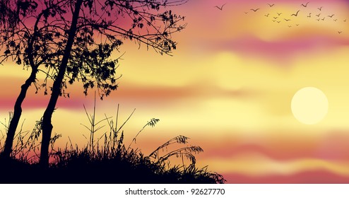 Vector background of gorgeous evening landscape. The dark silhouettes of trees against the red-yellow sky with the setting sun