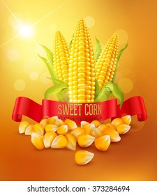 vector background with grains and cobs of corn and red ribbon