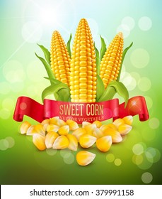 vector background with grains and cobs of corn and red ribbon