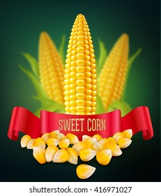 vector background with grains and cobs of corn and red ribbon