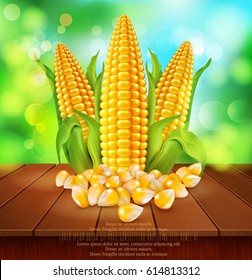 vector background with grains and cobs of corn  on a wooden table on the background of the sky and green foliage