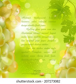 vector background with grapes