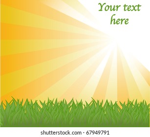 vector background with grass.