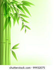 Vector background with green bamboo