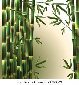Vector background with green bamboo leaves and branches