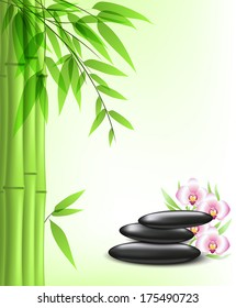 Vector background with green bamboo and spa stones