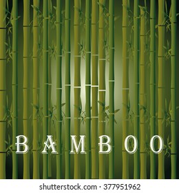 Vector background with green bamboo and sun. Natural texture with sign