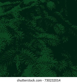 Vector background from green fir tree branch. Found for xmas card or banner. 