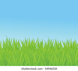 vector background with green grass.