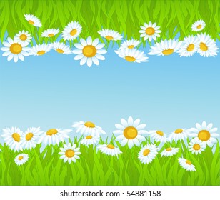 vector background with green grass and flowers.