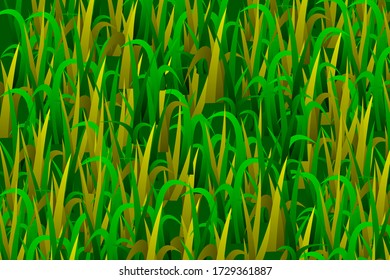 vector background with green grass illustrations