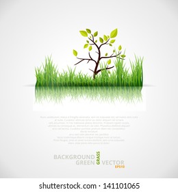 Vector Background with Green Grass and Tree. 