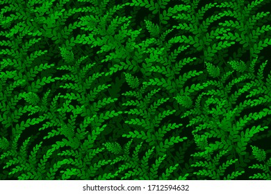 vector background of green leaves