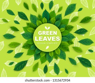 Vector background with green leaves in a circle. Template for design.