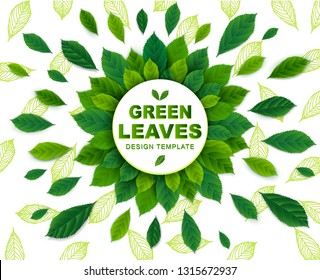 Vector background with green leaves in a circle. Template for design.