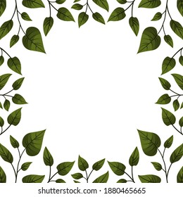 Vector background with green leaves; for greeting cards, invitations, packaging, posters, banners.