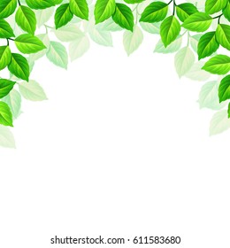 Vector background with green leaves on white.