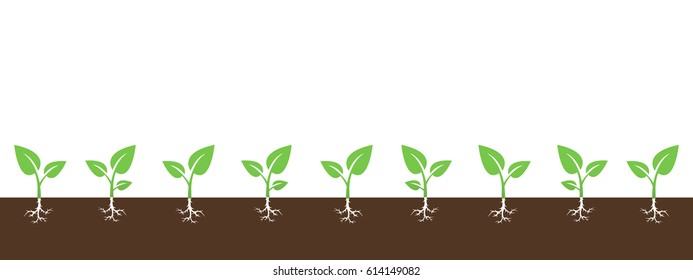 Vector background with growing sprouts