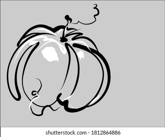    VECTOR Background with Halloween pumpkin