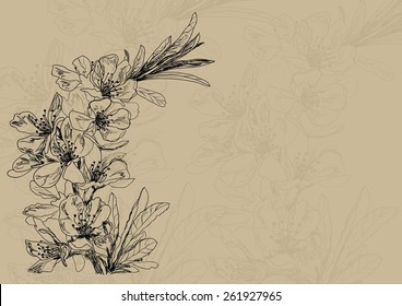 Vector background with hand drawing almond blossom on beige
