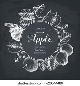 Vector background with hand drawn apple illustration. Vintage card design with fruits sketch. Botanical garden template on chalkboard