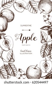 Vector background with hand drawn apple illustration. Vintage card design with fruits sketch. Botanical garden template 