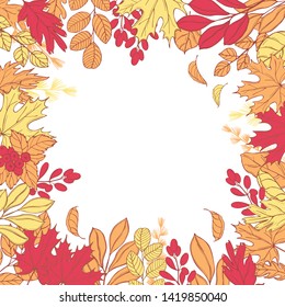  Vector background with hand drawn Autumn leaves and berries.  Sketch illustration