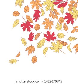  Vector background with hand drawn autumn leaves.  Sketch illustration