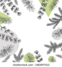Vector background with hand drawn Christmas plants. Sketch illustration.