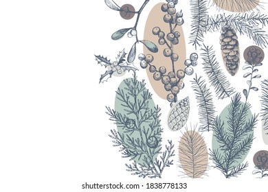 Vector background with hand drawn Christmas plants. Sketch illustration.