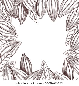 Vector background with hand drawn cocoa beans. Sketch illustration