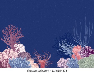 Vector background with hand drawn colorful coral reef on dark blue background. Vector illustration in vintage style