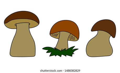 Vector background with hand drawn colorful mushrooms, autumn forest