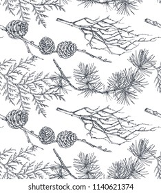 Vector background with hand drawn conifers trees in sketch style. Seamless pattern with plants and branches. Vintage holiday decor