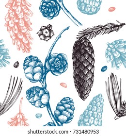 Vector background with hand drawn conifers cones sketch. Seamless pattern with traditional christmas plants. Vintage holiday decor. Tree illustration