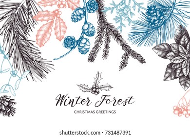 Vector background with hand drawn conifers, holly berries, mistletoe, cones, mountain ash. Holiday decor elements. Vintage Christmas or New Year card design. Winter template isolated on white